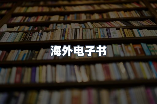 海外电子书